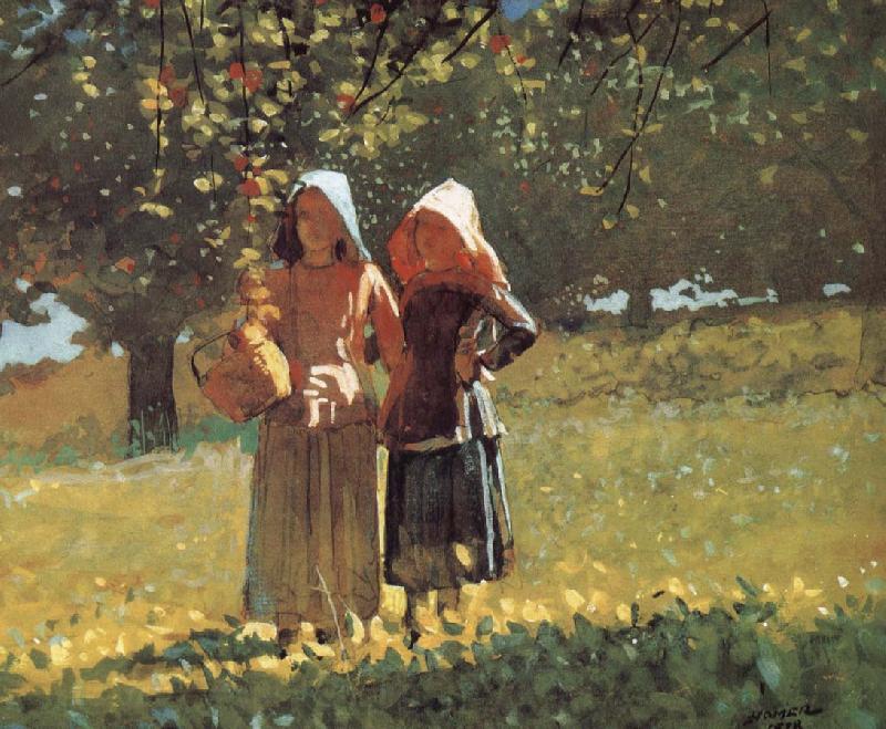 Winslow Homer Mining Apple Spain oil painting art